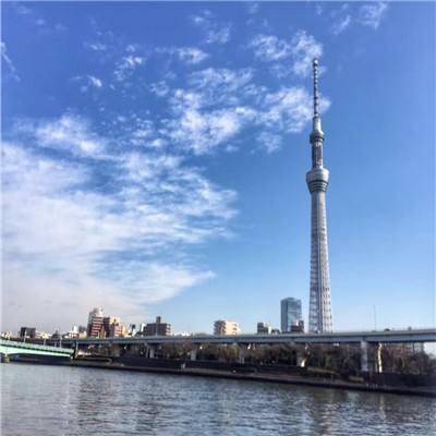 迷失的光下载安装包